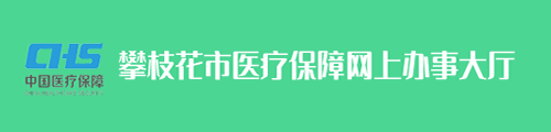 攀枝花市医疗保障网上办事大厅