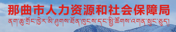 那曲市人力资源和社会保障局