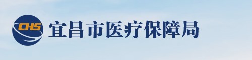 宜昌市医疗保障局/医保中心