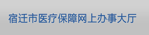 宿迁市医疗保障网上办事大厅