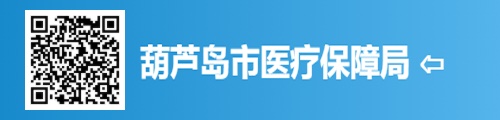 葫芦岛市医疗保障局/医保中心