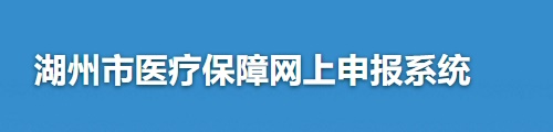 湖州市医疗保障网上申报系统