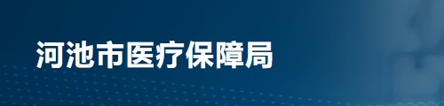 河池市医疗保障局/医保中心