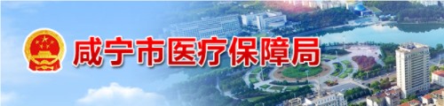 咸宁市医疗保障局/医保中心