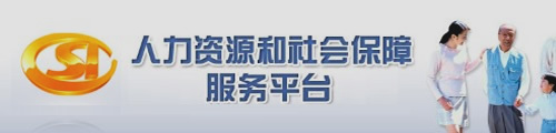 保定市社会保险网上申报服务平台