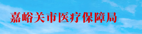  嘉峪关市医疗保障局/医保中心