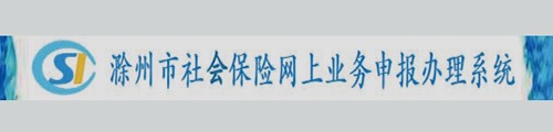 滁州社会保险网上业务申报办理系统