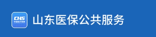 山东医保公共服务平台·网上服务大厅