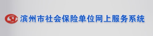 滨州市社会保险·单位网上服务系统