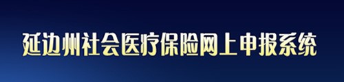 延边州社会医疗保险网上申报系统