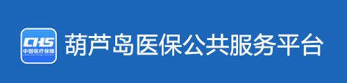 葫芦岛医保公共服务平台·网上服务大厅