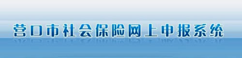 营口市社会保险网上申报系统