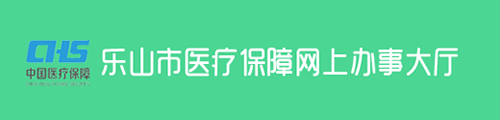 乐山市医疗保障网上办事大厅