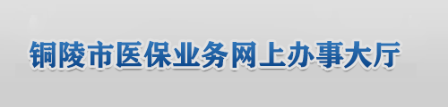 铜陵市医保业务网上服务大厅