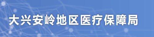 大兴安岭地区医疗保障局